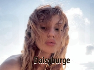 Daisyburge