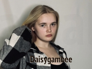 Daisygambee