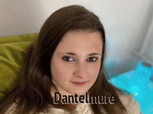 Dantelmure