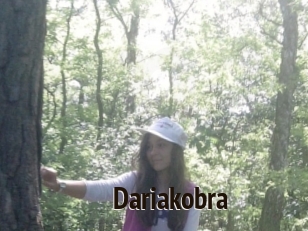 Dariakobra