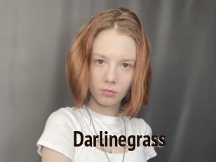 Darlinegrass