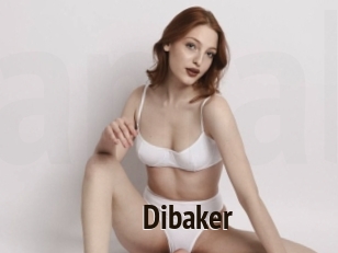 Dibaker