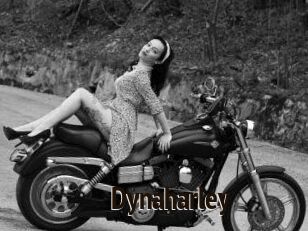 Dynaharley