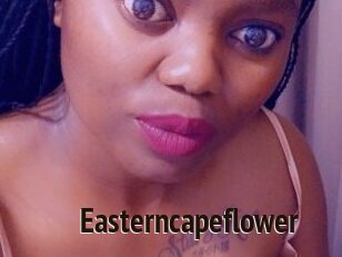 Easterncapeflower