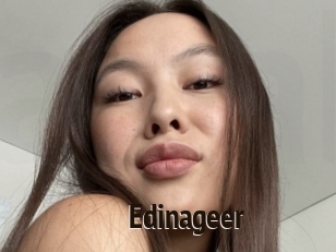 Edinageer