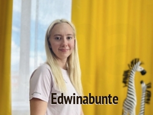 Edwinabunte