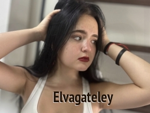 Elvagateley