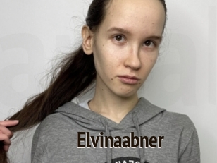 Elvinaabner