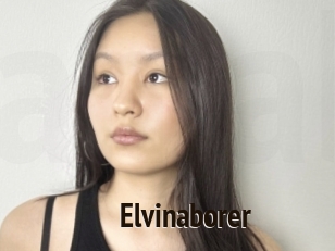 Elvinaborer