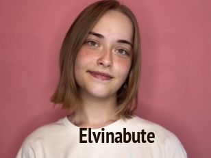 Elvinabute