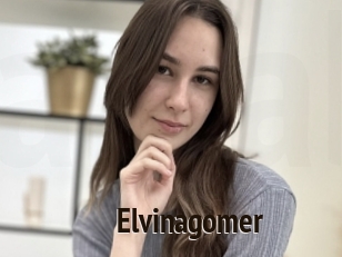 Elvinagomer