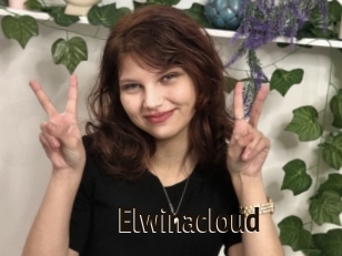 Elwinacloud
