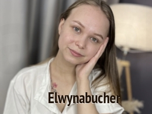 Elwynabucher