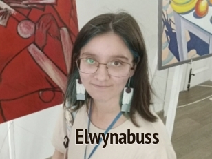 Elwynabuss