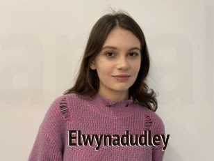 Elwynadudley