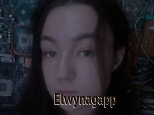 Elwynagapp