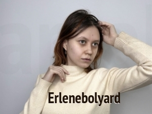 Erlenebolyard