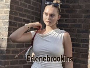 Erlenebrookins