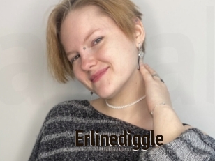 Erlinediggle