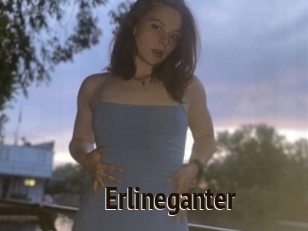 Erlineganter