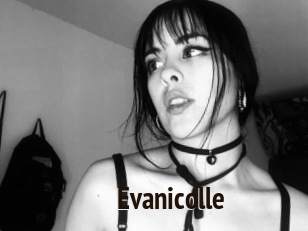 evanicolle Amatrice Blog