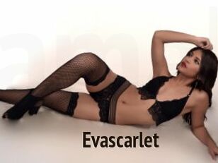 Evascarlet