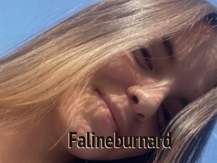 Falineburnard