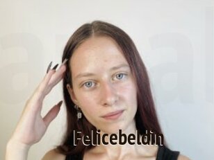 Felicebeldin