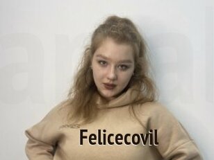 Felicecovil