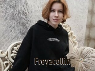 Freyacollin