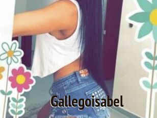 Gallegoisabel