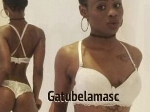 Gatubela_masc