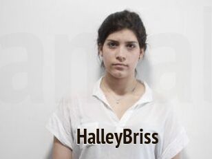 HalleyBriss