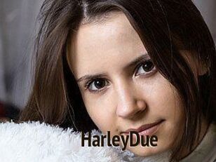 Harley_Due