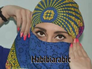 habibiarabic Amatrice Blog