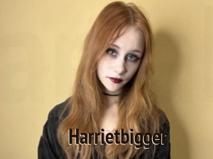 Harrietbigger