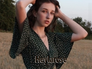 Heylarose