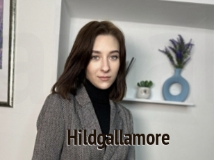 Hildgallamore