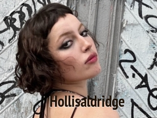 Hollisaldridge