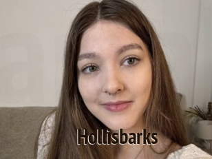 hollisbarks Amatrice Blog