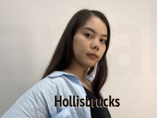 Hollisbrucks