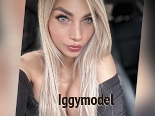 Iggymodel