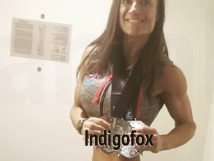 Indigofox