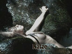 Katze