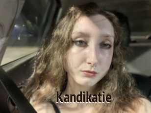 Kandikatie