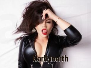 Karllynorth