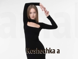 Koshechka_a