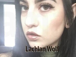 Lachlan_Wolf