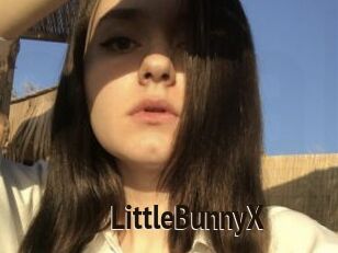 LittleBunnyX