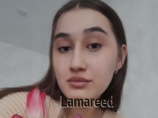 Lamareed